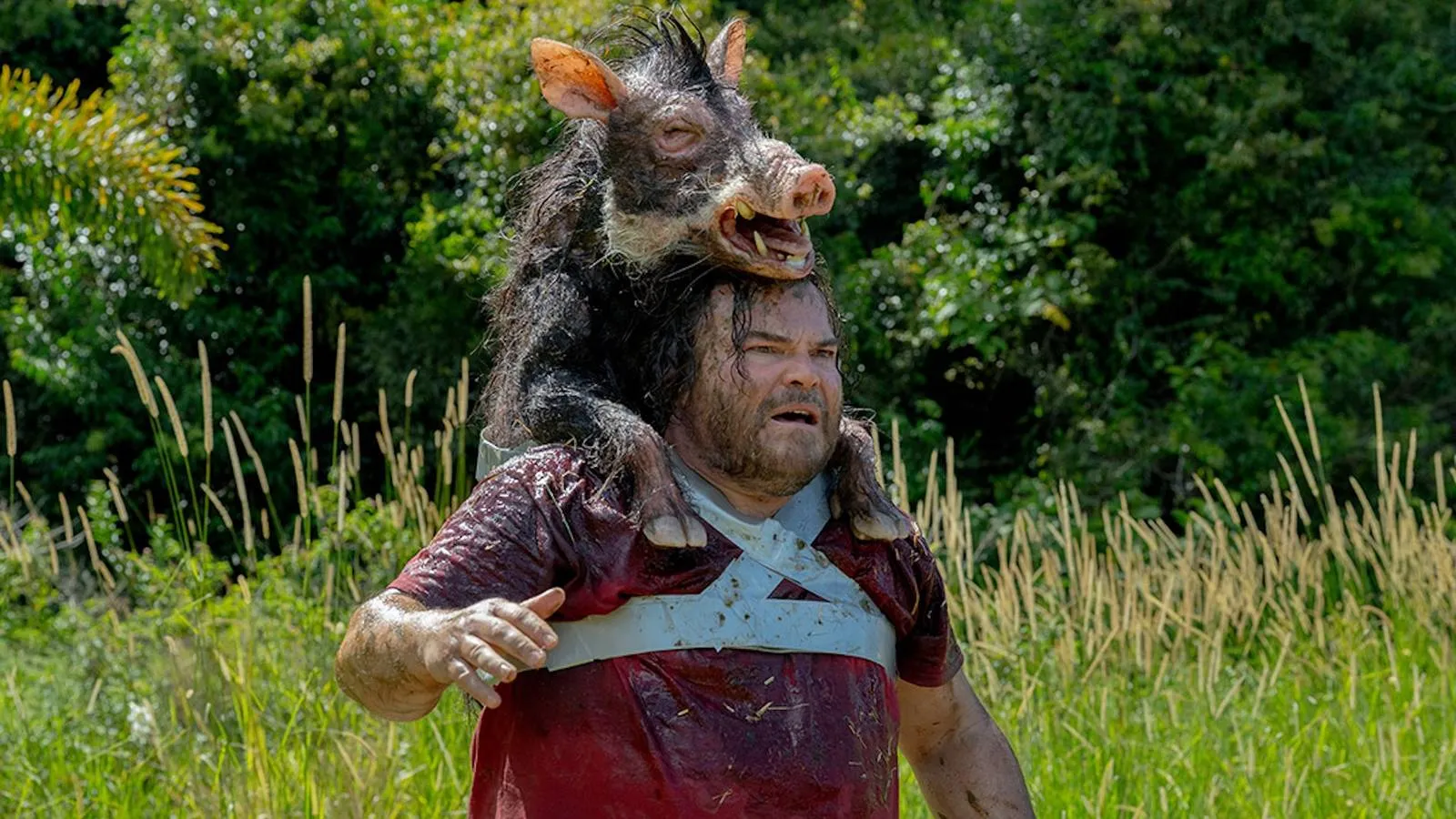 The Studio's Anaconda Film Revival Proves to Be a Brilliantly Simple Idea