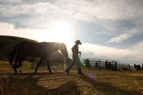 Discover the US Female Ranchers Transforming Modern Ranching