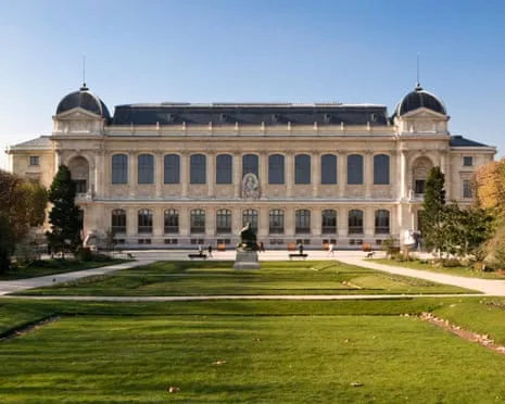Historic Gold Pieces Taken in Daring Robbery at French National Museum