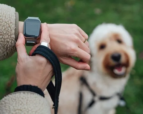 The Reality Concerning Smartwatches? Life Feels Fuller Devoid of a Nagging Zealot on Your Wrist